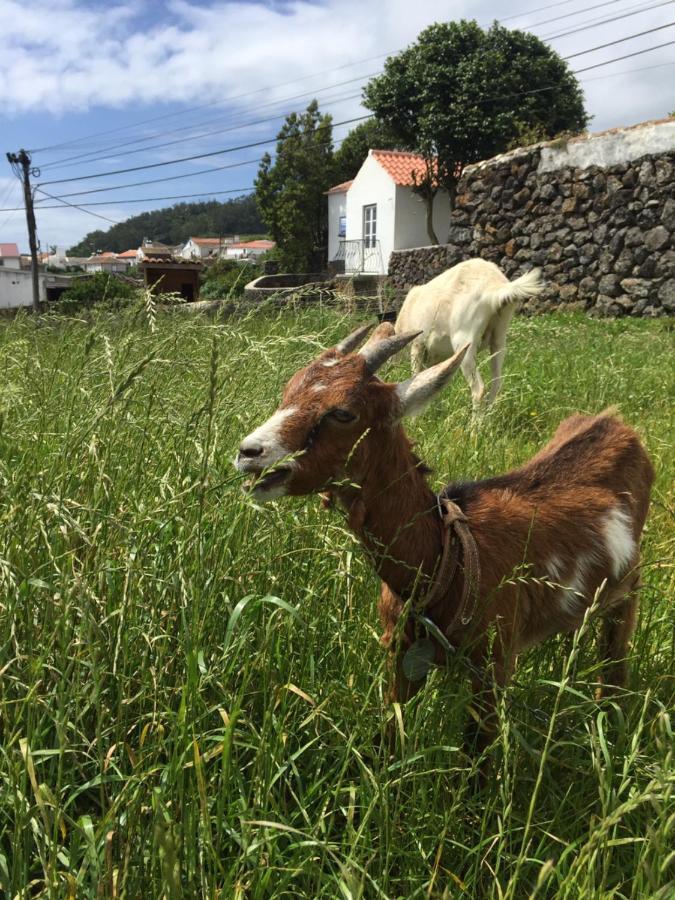 The Azores Homestead - Terceira Santa Barbara  Dış mekan fotoğraf